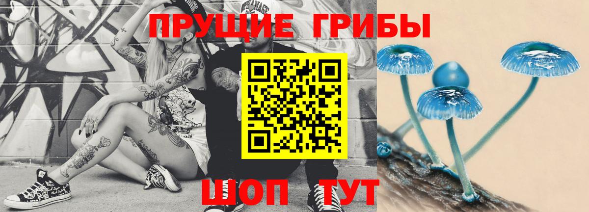 Скопин  Псилоцибиновые грибы ЛСД  Вход с VPN  Галлюциногенные грибы Psilocybe 