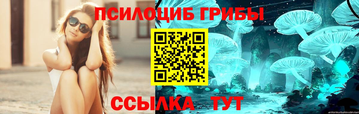 Псилоцибиновые грибы ЛСД Скопин